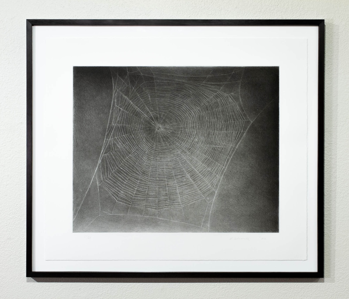 Untitled (Web 4)